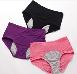 Comfortable Period Panties From Bangladesh Underwear Supplier